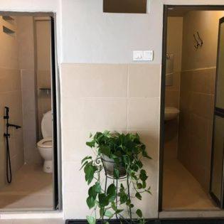 Myroom Georgetown, Off Jalan Burma, Gurney Drive